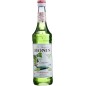 Monin Sirope Pepino 70 Cl Monin Sirope Pepino 70 Cl