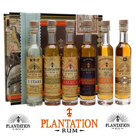 Plantation Exp.box Pack/6