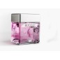 Ginebra Cubical Kiss Fresa 70 Cl