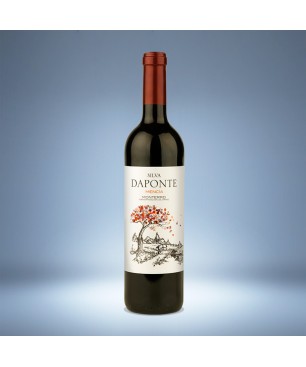 Silva Daponte Mencia 75 Cl