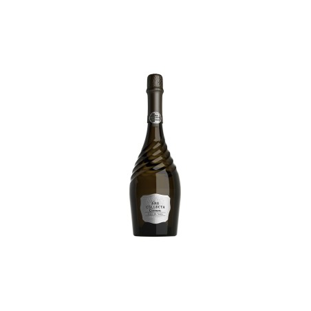 Codorniu Ars Collecta Blanc De Noir
