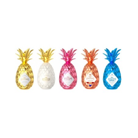 Miniatura Pinaq Sabores 5 Cl