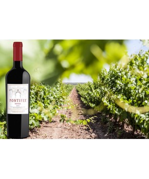 Pontifex Joven 75 Cl