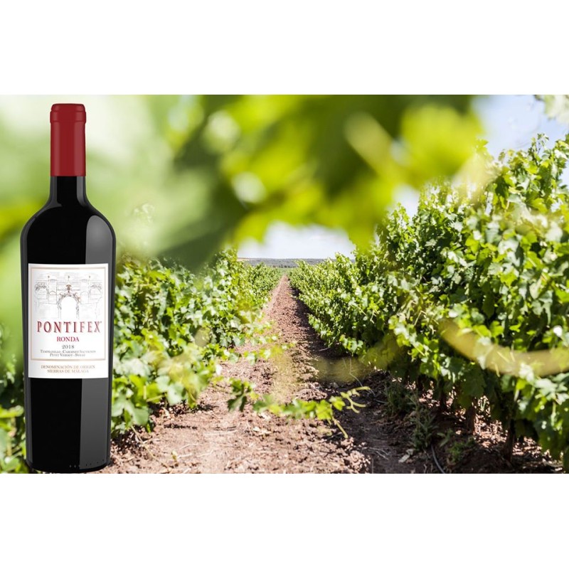 Pontifex Joven 75 Cl