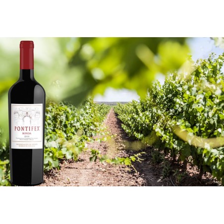 Pontifex Joven 75 Cl