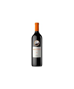 Magnum Malleolus 150 Cl