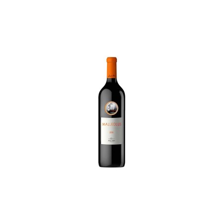 Magnum Malleolus 150 Cl