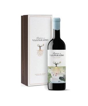 Estuchada Raices Valparaiso 75 Cl