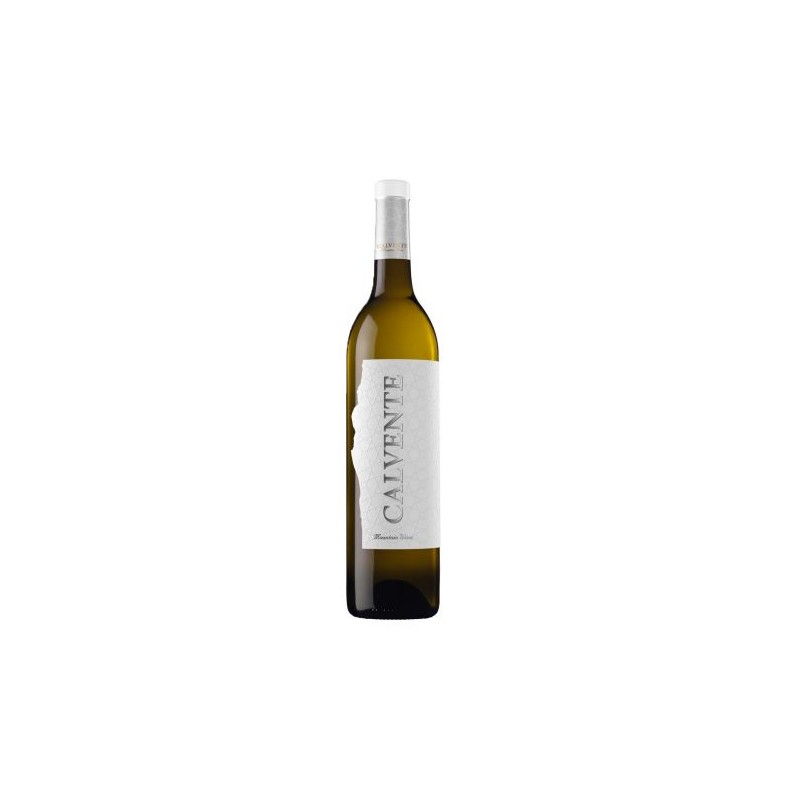 Calvente Guindalera Blanco 70 Cl