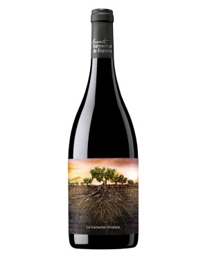 Garnacha Olvidada De Aragon 75 Cl.