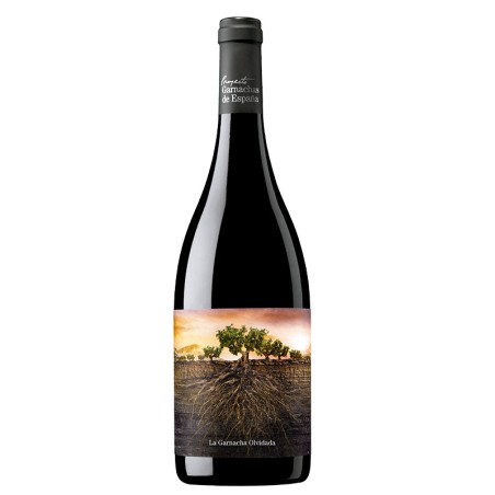 Garnacha Olvidada De Aragon 75 Cl.