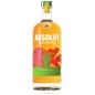 Absolut Sensations Lt Absolut Sensations Lt