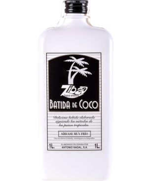 Batida Coco Tunel Plastico Lt