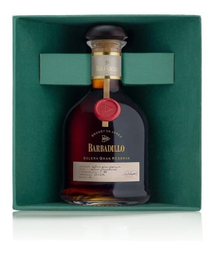 Brandy Barbadillo G.rva