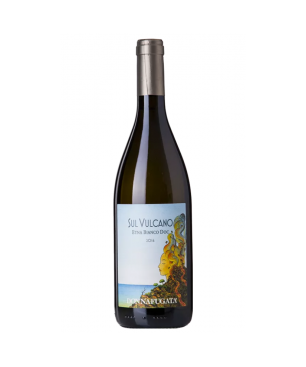 Frascati Bianco Rione 75 Cl