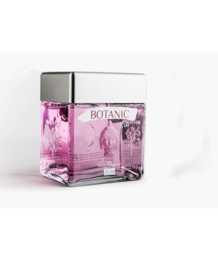 Ginebra Cubical Kiss Fresa 70 Cl