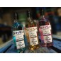 Ginsin Sabores 70 Cl Ginsin Sabores 70 Cl