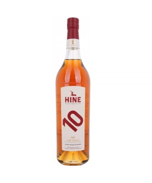 Hine Journey 10 Años Lt