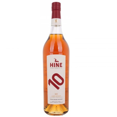 Hine Journey 10 Años Lt