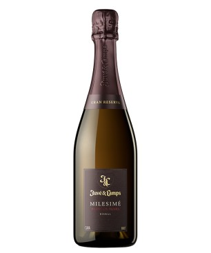 Juve Y Camps Blanc De Noirs 75 Cl