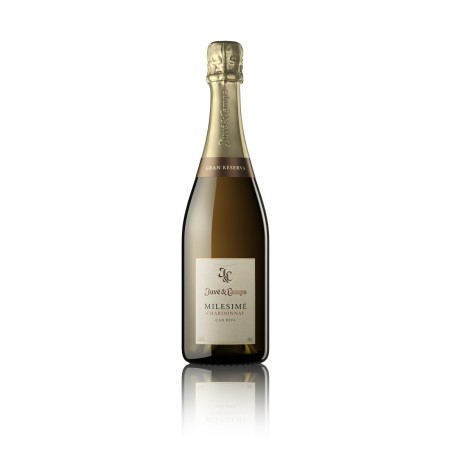 Juve Y Camps Chardonnay Mil. 75 Cl