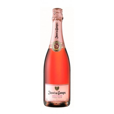 Juve Y Camps Rosado