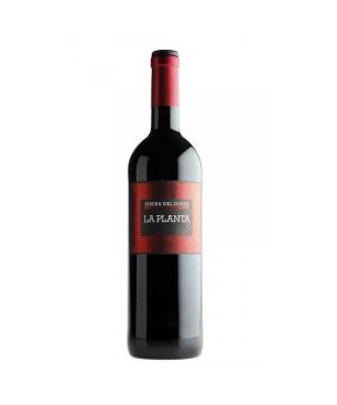 La Planta Roble 75 Cl