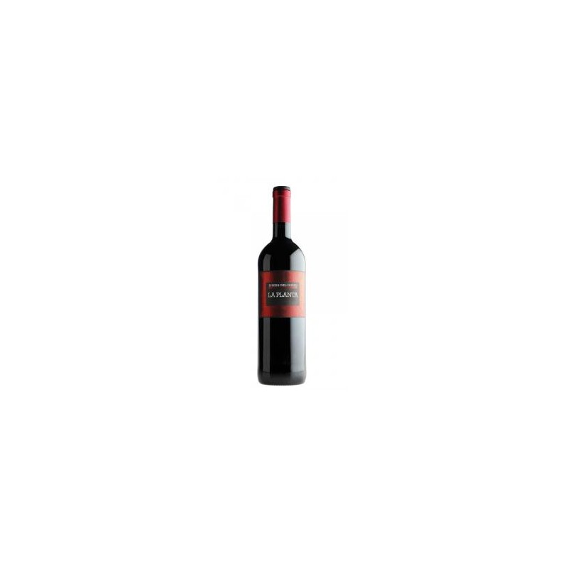 La Planta Roble 75 Cl La Planta Roble 75 Cl